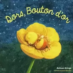 Dors, Bouton d'Or