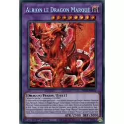 Albion le Dragon Marqué
