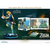The Legend of Zelda: Breath of the Wild - Link 10