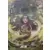 Hashirama