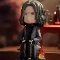 Severus Snape And The  Fired Robe