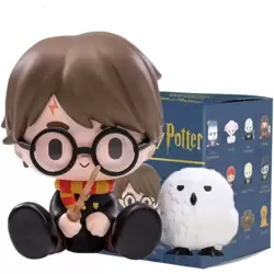 Harry Potter With Hedwig