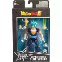 Super Saiyan Blue Vegito