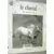 Le Cheval, Libre Comme le Vent