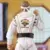 Power Rangers Hasbro - Lightning Collection - Power Rangers X Cobra Kai - Morphed Daniel LaRusso White Crane Ranger