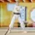 Power Rangers Hasbro - Lightning Collection - Power Rangers X Cobra Kai - Morphed Daniel LaRusso White Crane Ranger