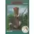 1993 TSR Advanced Dungeons & Dragons 2nd Edition - Giant-kin, Voadkyn