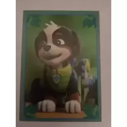 Rex