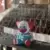Handmade By Robots - Bozo the Clown