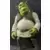Shrek (Closed Mouth)