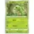 Caterpie