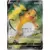 Raichu V
