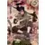 Series MR - Asuma