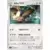 Noctowl