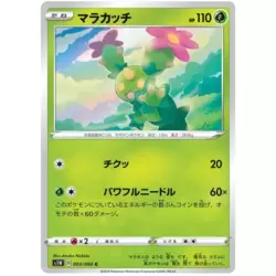 Maractus