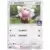 SM-P - Sun & Moon Promos - Stufful