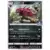Zoroark