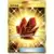 SM10 - Double Blaze - Fire Crystal