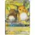 Raichu & Alolan Raichu GX