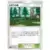 Viridian Forest