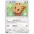 SM1S - Collection Sun - Lillipup