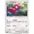 Porygon 2