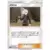 Gladion