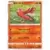 SM7 - Charisma of the Cracked Sky - Oricorio