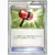 20th - Pokemon Card Game Starter Pack - Crushing Hammer
