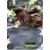 CP4 - Premium Champion Pack EX x M x Break - Kangaskhan EX