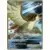 Pidgeot EX