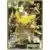 Pikachu EX
