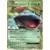 CP6 - 20th Anniversary Collection - Venusaur EX