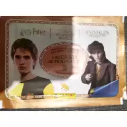 Pochette 1