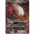 XY9 - Rage of the Broken Heavens - Darkrai EX