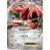 XY9 - Rage of the Broken Heavens - Scizor EX