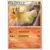 Typhlosion