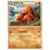 Dugtrio