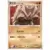 Rhyhorn