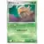 Shedinja