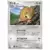 Raticate