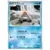 Snorunt