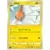 Rotom