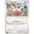 Spinda