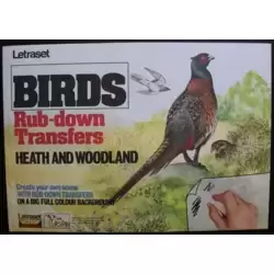 Birds / Heath and woodland