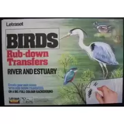 Birds / River and estuary
