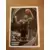 DeAndre Jordan - Brooklyn Nets