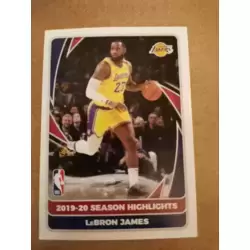 LeBron James - Season Highlights 2019-20