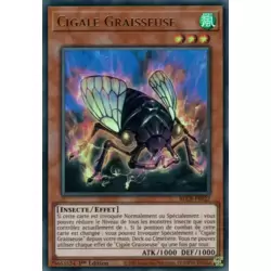 Cigale Graisseuse