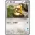 Bidoof